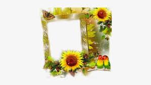 Free Free 107 Clipart Transparent Sunflower Border Png SVG PNG EPS DXF File