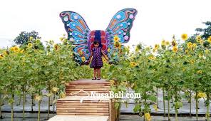 This sunflower species is also used as wild bird food, as livestock forage (as a meal or a silage plant), in some industrial applications, and as an ornamental in domestic gardens. Nusabali Com Hari Valentine 800 Tangkai Bunga Matahari Terjual