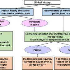 Pdf International Consensus Icon Allergic Reactions To Vaccines