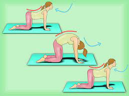 bel agrisi cekenlere pratik cozum onerisi yoga ve esneme