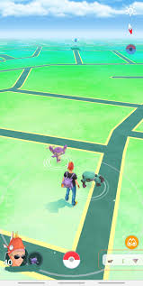 Pokemon Sword, But You Can See Shinies In The Wild - Youtube