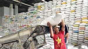 Công ty tnhh thương mại đông nam. Bá»‹ Phe Khong Nghiem Tuc Vá» Ä'iá»u Hanh Xuáº¥t Kháº©u Gáº¡o Bá»™ Cong ThÆ°Æ¡ng Giáº£i Thich Gi Vá»›i Thá»§ TÆ°á»›ng