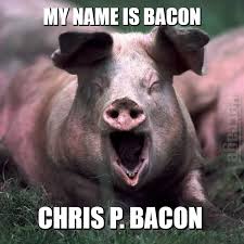 Petrage Pig Meme - PETRAGE