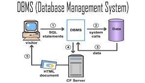 Pengertian Dbms Fungsi Tujuan Macam Kelebihan Kekurangan Dan Contoh Dbms Database Management System Lengkap Https Pendidikan Jaringan Komputer Sekolah