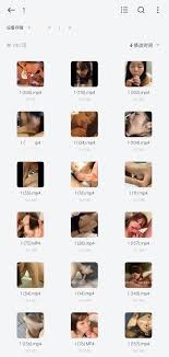 合集纯享]御姐萝莉等245部各路学生人妻深喉口爆颜射[上] [245v-3.9GB] | 精选Porn