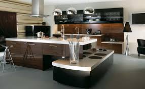 captivating kitchen design ideas 2016