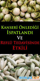 Kanseri Onledigi Ispatlandi Ve Reflu Tedavisinde Etkili Healthy Happy Life Diet And Nutrition Health