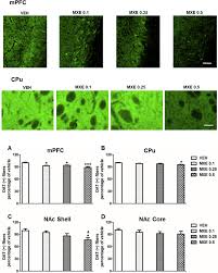 Image result for Methoxetamine