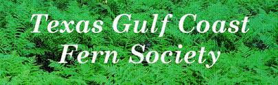Texas Gulf Coast Fern Society