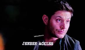 Splinter is In Heaven looking down