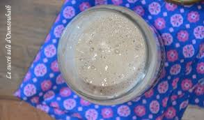Levain Liquide D Eric Kayser