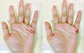 Check spelling or type a new query. Primbon Garis Tangan Rejeki