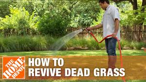Purely organic products lawn food contains no harsh chemicals, and no smelly manure or biosolids. How To Grow Grass With Dead Grass Spots The Home Depot Youtube