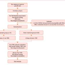 flow chart of the trial pd parkinsons disease mci mild