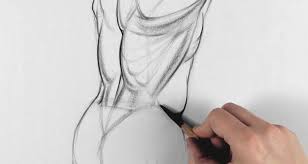 Learn how to draw human body anatomy pictures using these outlines or 800x618 anatomical drawings sketchbook ,artist study resources for art. Anatomy Courses For Artists Best Online Courses To Study Human Anatomy At Home