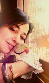 Can birds recognize individual humans in the wild?