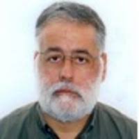 Camile Beatriz Stertz