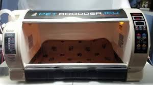 We did not find results for: Pet Habitat Curadle Pet Brooder Icu Facebook