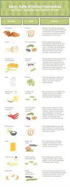 Greenpro certification for environmentally safe treatments and qualitypro certification for customer satisfaction. 900 Pest Control Roaches Ideas Pest Control Pests Pest Control Roaches