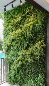 Planting the seeds of wisdom. Vertical Green Verticalgreen Profile Pinterest