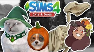 The sims has an active (and occasionally very strange) modding community, and they were hard at work upon the release of the pets expansion at its height, it was the most popular expansion for the sims 4, until it was topped by seasons and discover university. Spooky Skeletons Witchy Cats Sims 4 Cats Dogs Halloween Cc Youtube