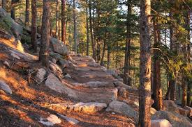 Hikes And Trips In All 50 States Rocky Mountain National Park National Parks Rocky Mountains