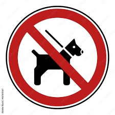 Steckschild hundehaufen verbot hundekot hundeklo nein garten schild eisen weiß. Die 69 Besten Bilder Stock Fotos Und Vektorgrafiken Zu Hunde Verboten Adobe Stock