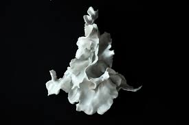 Bildergebnis für Alina Kopytsa