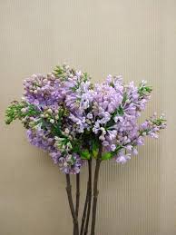 A shoe designed especially for the caretakers that are on their feet all day. ä¸é¦™ ä¹Ÿæœ‰äººç¨±å®ƒç‚ºç´«ä¸é¦™ æ˜¯æœ¨çŠ€ç§'ä¸é¦™å±¬çš„æ¤ç‰© è‹±æ–‡åç‚ºsyringa ç®—æ˜¯ æ°¸é€²èŠ±å‰ching Flowers Facebook