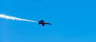 Image result for Blue 2018 Fleet