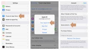 Then click on your so, that was all about canceling app store subscriptions on your apple devices using ios or itunes. How To Cancel A Subscription On The Ipad Or Iphone