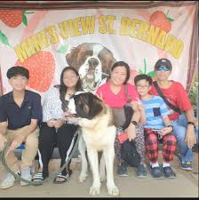 Franklin Blanco Somera