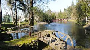 O festival dos sabores de vila franca de xira vai estar na tvi. Braga Tv Noticias E Reportagens Da Atualidade Em Braga Pagina 411