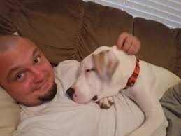 Remembering a beloved dog and considering adoption