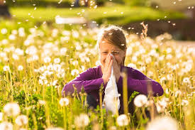 Prévenir le propriétaire et/ou le syndic de l'immeuble que vous déménagez et fixer une date pour l'état des lieux. Que Faire Quand Son Demenagement Declenche Une Allergie
