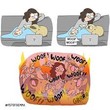Artist Draws Comics That Sum Up What Its Like To Live With A Dog Cesar S Waybig Dogs Blue Merle Dobermans English In 2020 Ich Liebe Hunde Lustige Haustiere Haustiere