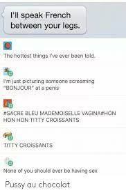 25 Best Memes About Ill Speak French Between Your Legs Ill Speak French Between Your Legs Memes
