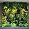 Decoracion con plantas de interiores | miriam mimesis. 1