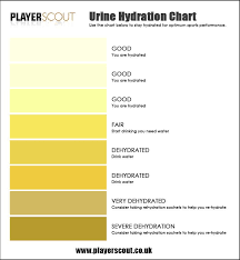 Urine Colour Chart Player Scout Urinal Color Chart Durable Medical Equipment