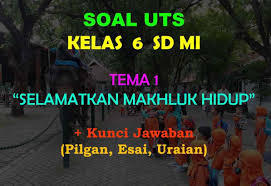 We did not find results for: 40 Soal Uts Kelas 6 Tema 1 Selamatkan Makhluk Hidup Jawaban Muttaqin Id