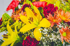 I ordered flowers from an english garden for my wife's birthday recently and am very happy with how they came out. An English Garden Flowers Gifts In Mokena Il Saveon