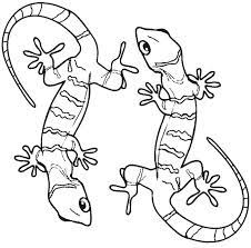 Push pack to pdf button and download pdf coloring book for free. Gecko Coloring Pages Best Coloring Pages For Kids