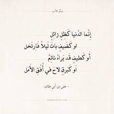شعر علي بن أبي طالب إنما الدنيا كظل زائل عالم الأدب in 2021 weather quotes quotes for book lovers pretty quotes