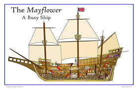 Tropical beach themed party ideas; Mayflower A Classroom Research Center May Flowers A Classroom Classroom