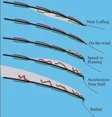 Telltails Sailing Catamaran Sailing Sailing Yacht