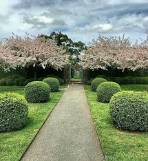 Stonefields Design Paul Bangay Buxus Malus Floribunda In 2020 Landscape Design Landscaping Inspiration Garden Design