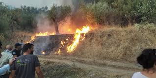 We did not find results for: Pysqbyr26expmm