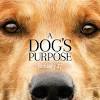 Guardian angel animal rescue sa incorporated (gaar) is a small volunteer based rescue in south australia. 1