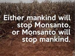 It s not that monsanto is making money out of the blue. Quotes About Monsanto 35 Quotes