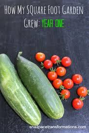 If you have yet to discover the advantages and pleasures of the. A Square Foot Gardening Update Snail Pace Transformations